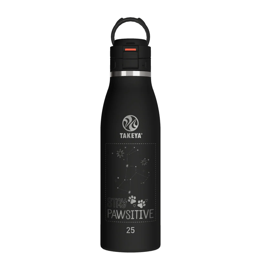 Takeya Traveler Leakproof Coffee Mug - 25oz Onyx